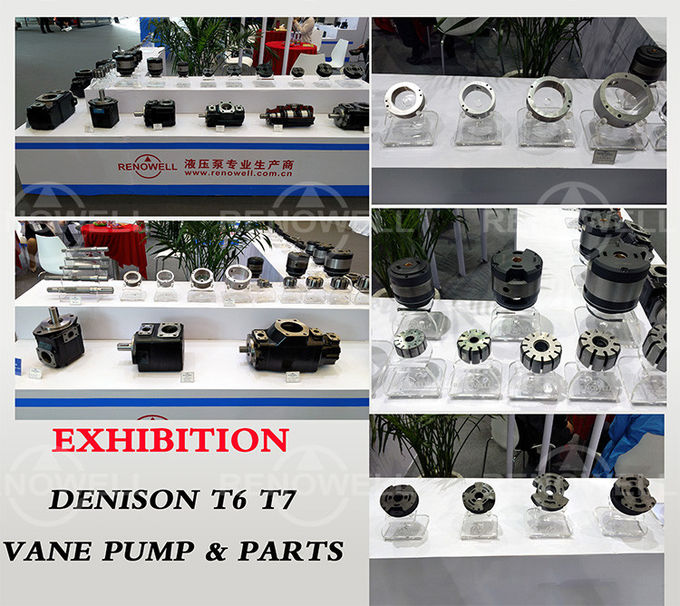 Bombas de paleta accionadas hidráulicas de Denison T67B B09 para el caucho y la maquinaria de los plásticos